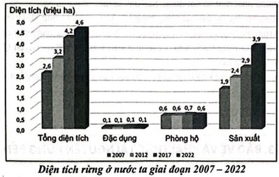 bieu do ve thuc trang rung