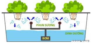 cong nghe canh tinh