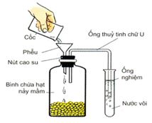 thi nghiem 1