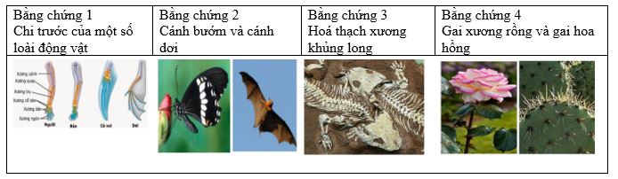 tien hoa 1